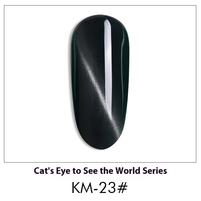 Cat Eye Nail Polish Gel Set