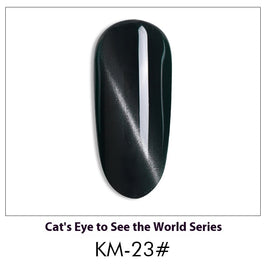 Cat Eye Nail Polish Gel Set