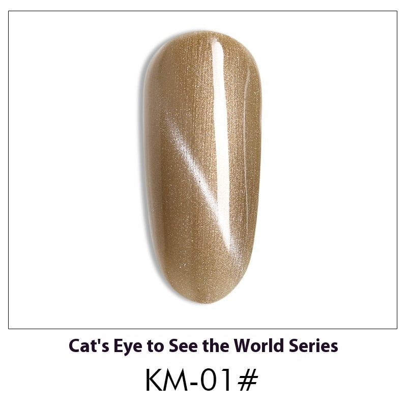 Cat Eye Nail Polish Gel Set