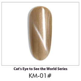 Cat Eye Nail Polish Gel Set