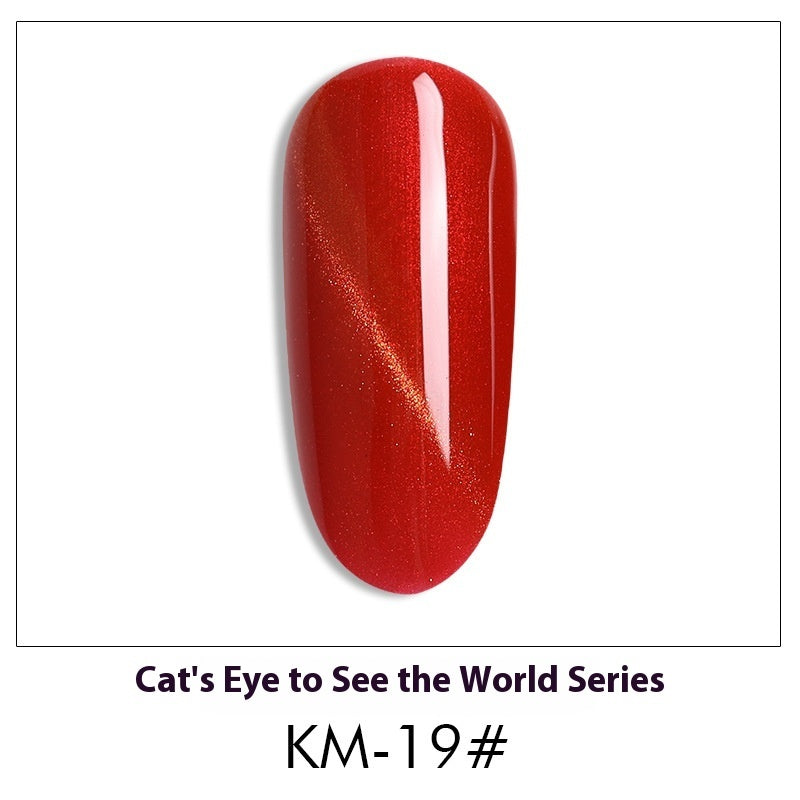Cat Eye Nail Polish Gel Set