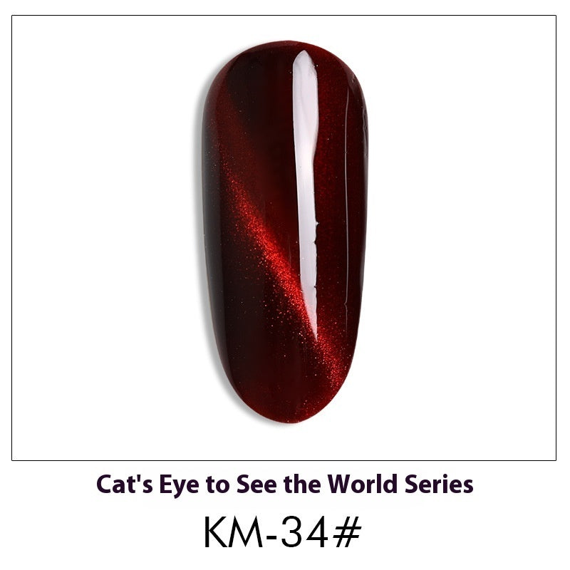 Cat Eye Nail Polish Gel Set