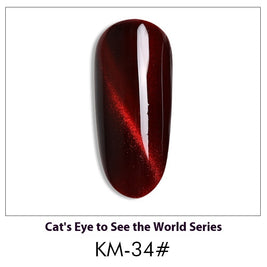 Cat Eye Nail Polish Gel Set
