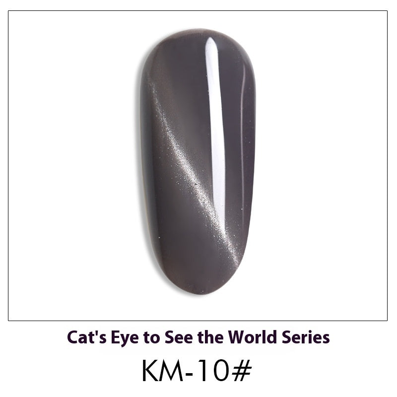 Cat Eye Nail Polish Gel Set