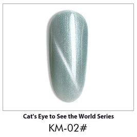 Cat Eye Nail Polish Gel Set