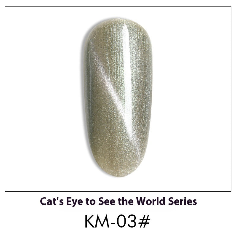 Cat Eye Nail Polish Gel Set