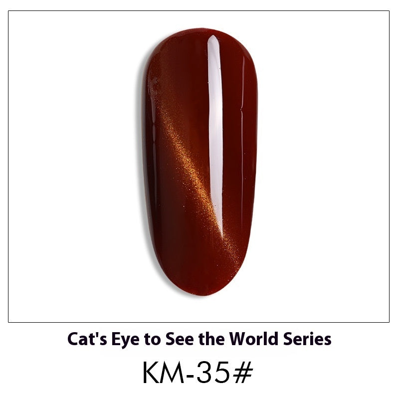 Cat Eye Nail Polish Gel Set