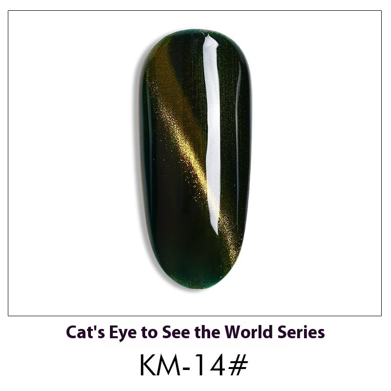 Cat Eye Nail Polish Gel Set
