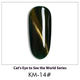 Cat Eye Nail Polish Gel Set