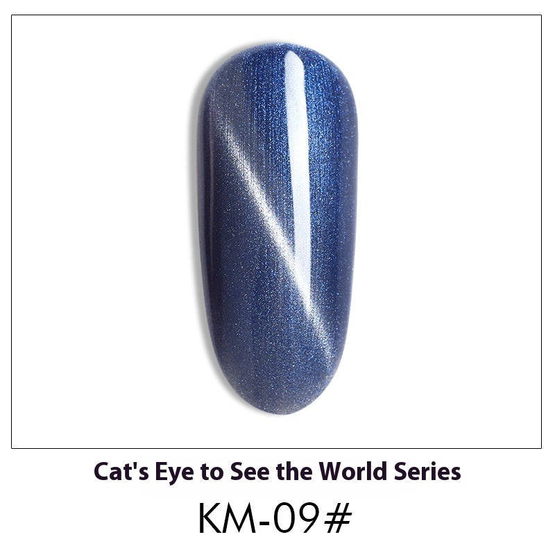 Cat Eye Nail Polish Gel Set