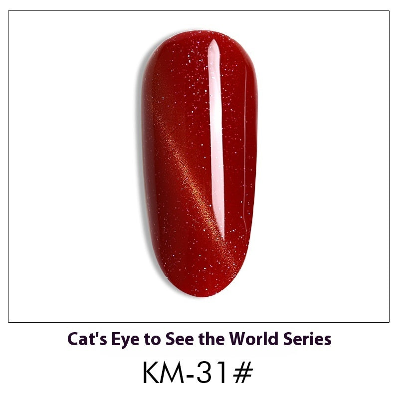 Cat Eye Nail Polish Gel Set