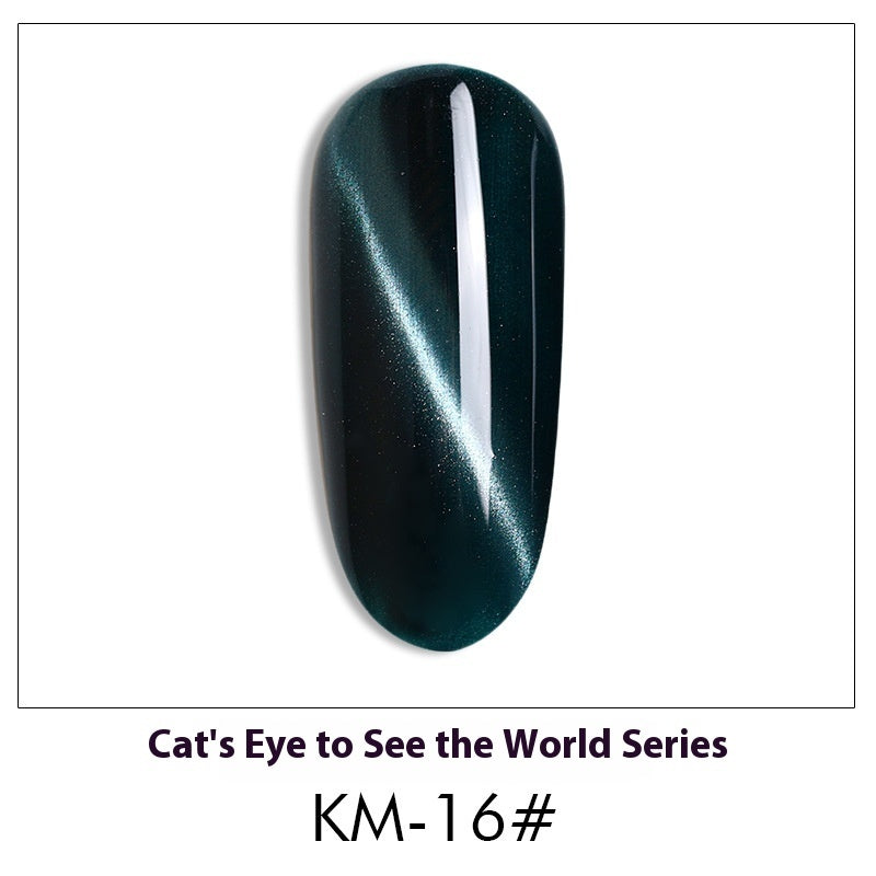 Cat Eye Nail Polish Gel Set