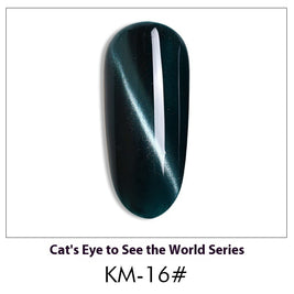 Cat Eye Nail Polish Gel Set