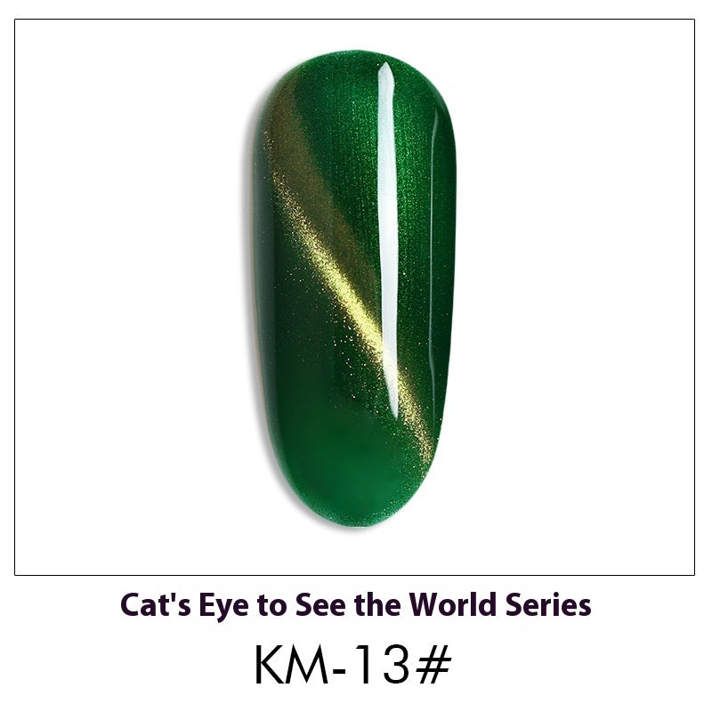 Cat Eye Nail Polish Gel Set