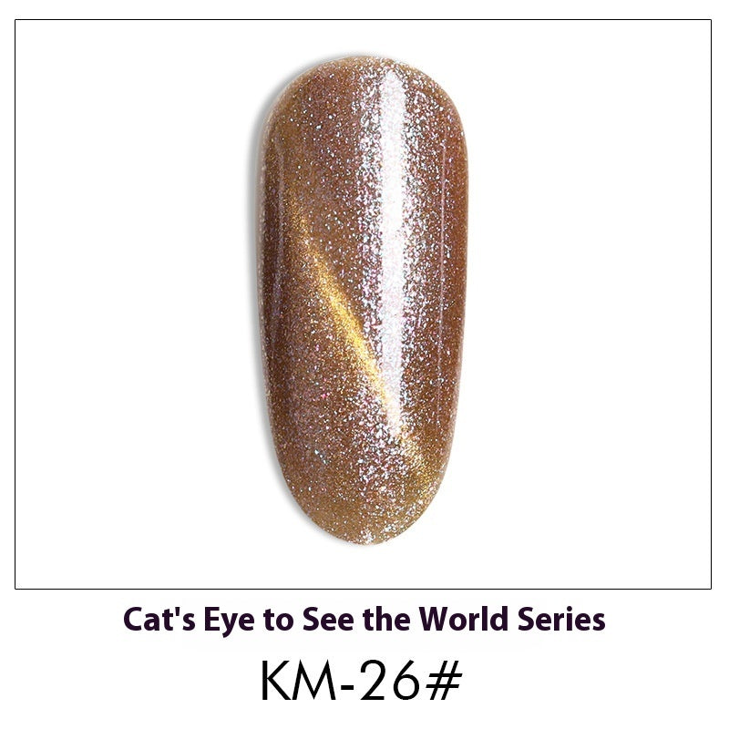 Cat Eye Nail Polish Gel Set