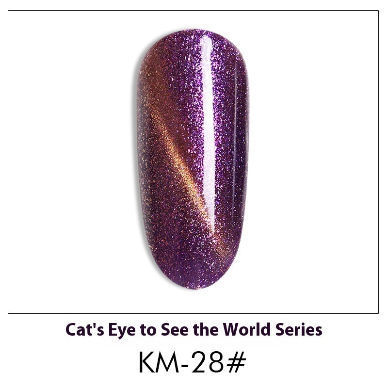 Cat Eye Nail Polish Gel Set