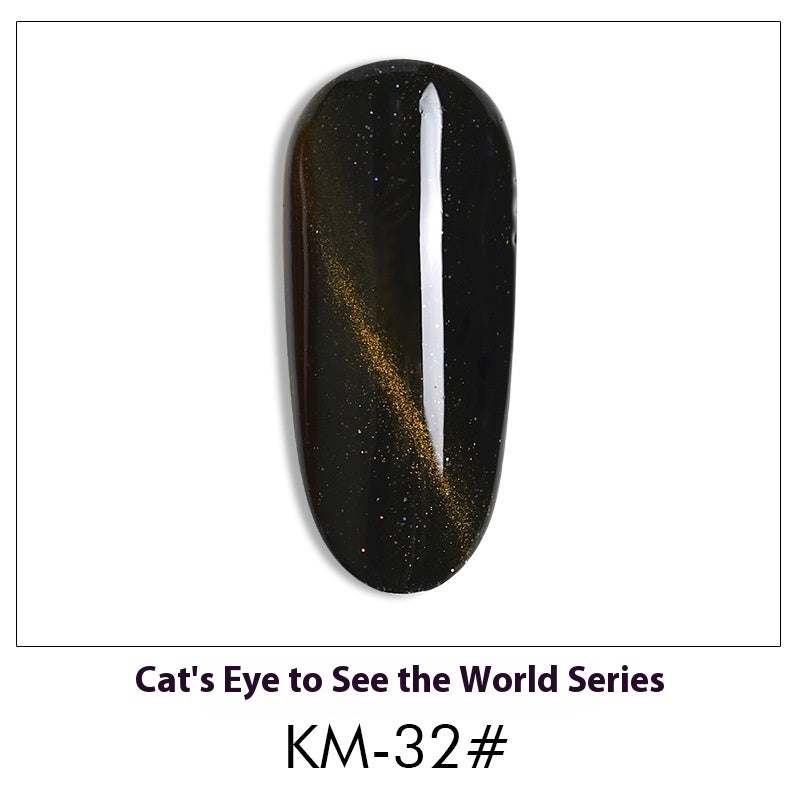Cat Eye Nail Polish Gel Set