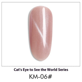 Cat Eye Nail Polish Gel Set