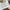 Cat Eye Kafuu Nails – Short High-End Press-On Set

