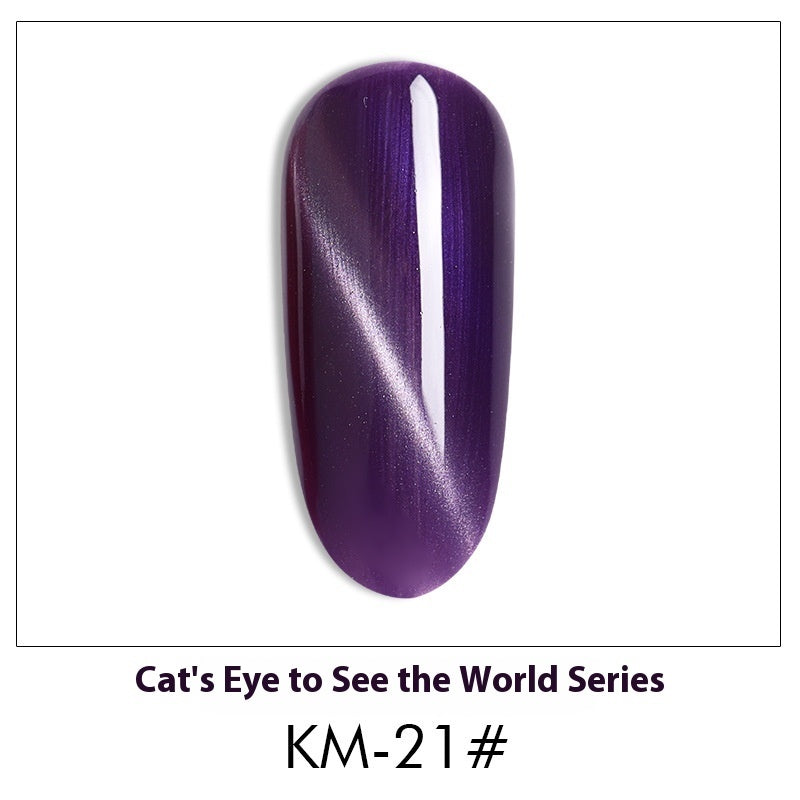 Cat Eye Nail Polish Gel Set