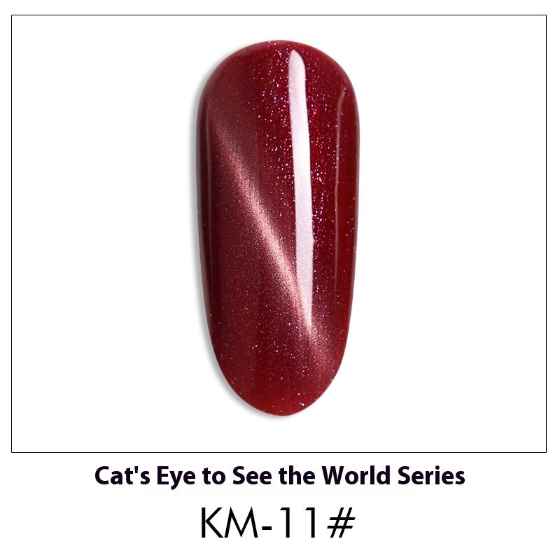 Cat Eye Nail Polish Gel Set