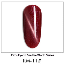 Cat Eye Nail Polish Gel Set