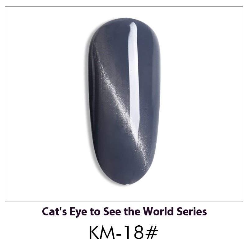 Cat Eye Nail Polish Gel Set