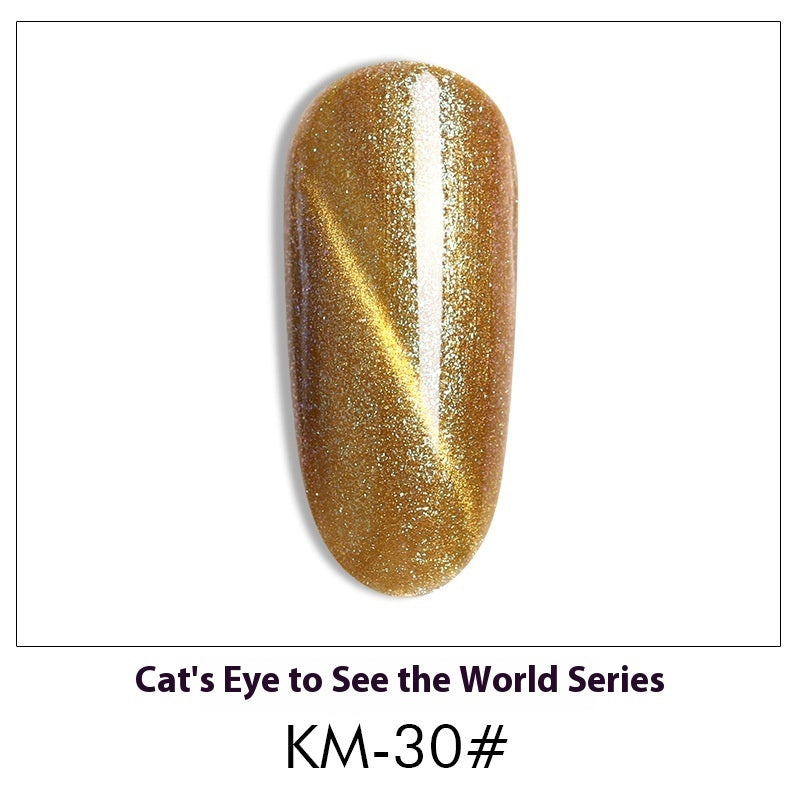 Cat Eye Nail Polish Gel Set