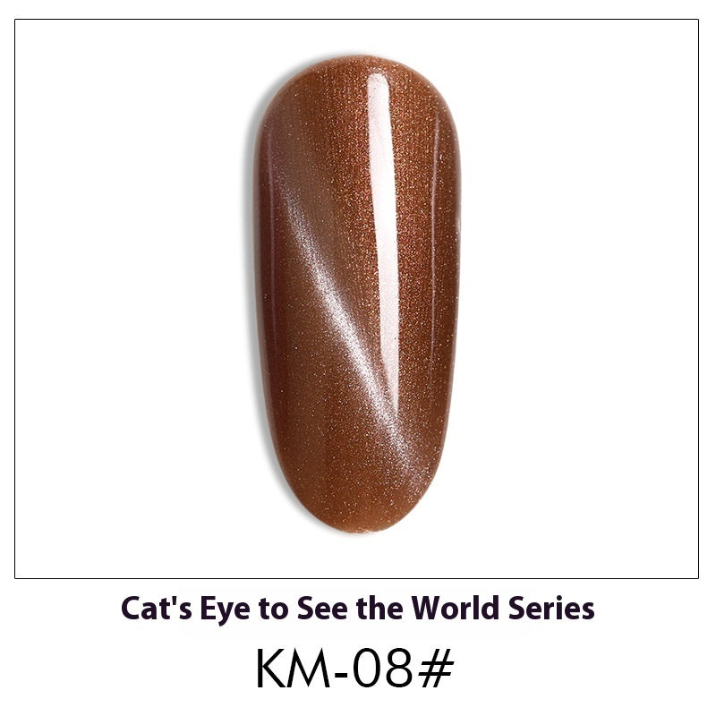 Cat Eye Nail Polish Gel Set
