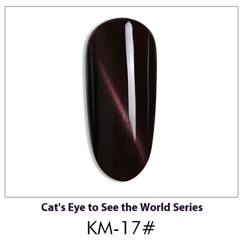Cat Eye Nail Polish Gel Set