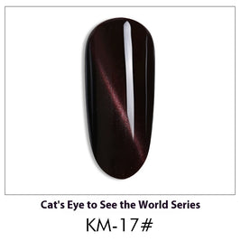Cat Eye Nail Polish Gel Set