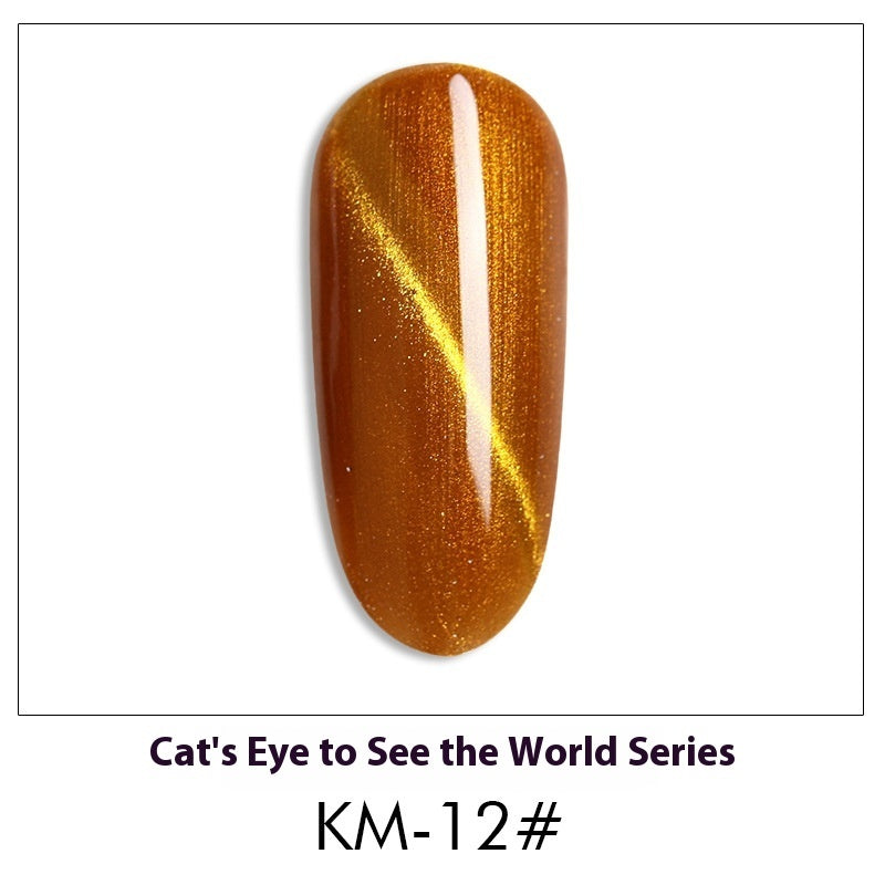 Cat Eye Nail Polish Gel Set